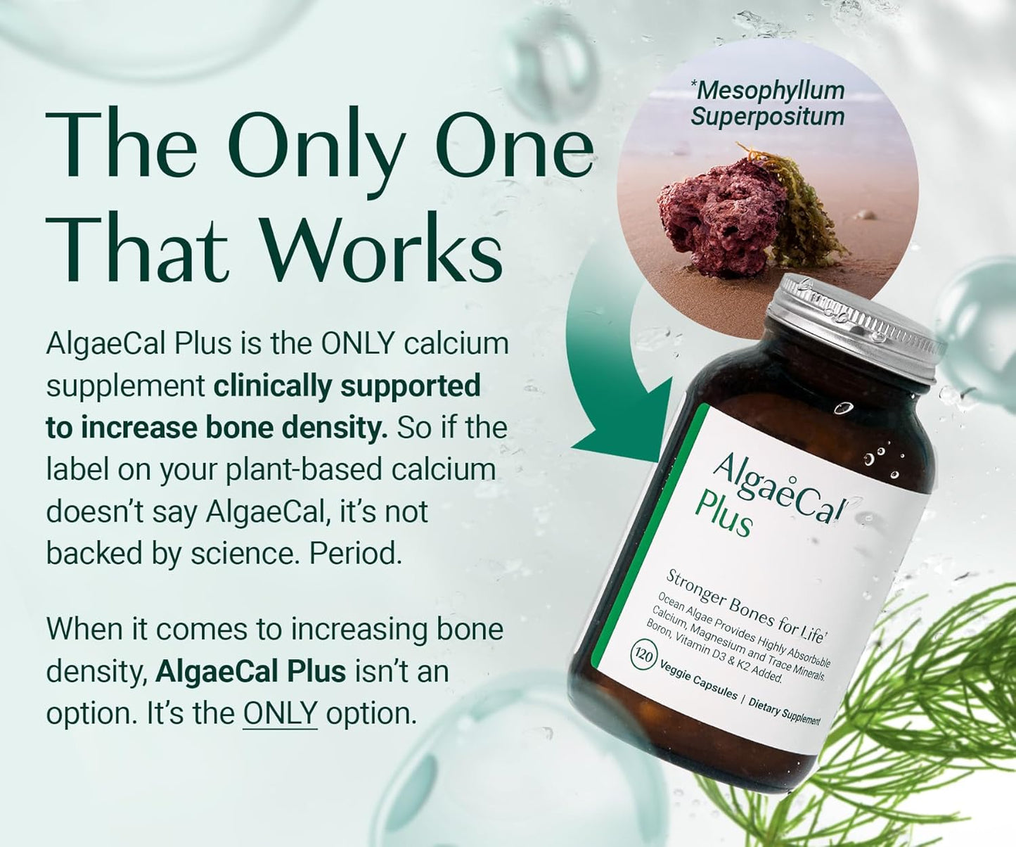 ALGAECAL Bone & Collagen Bundle