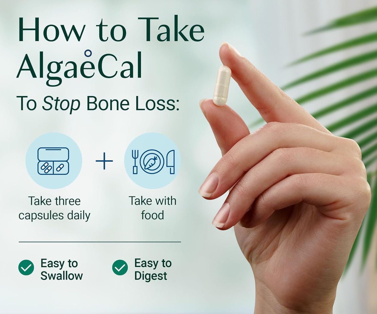 ALGAECAL - Plant Based Calcium Supplement + ALGAECAL Plus