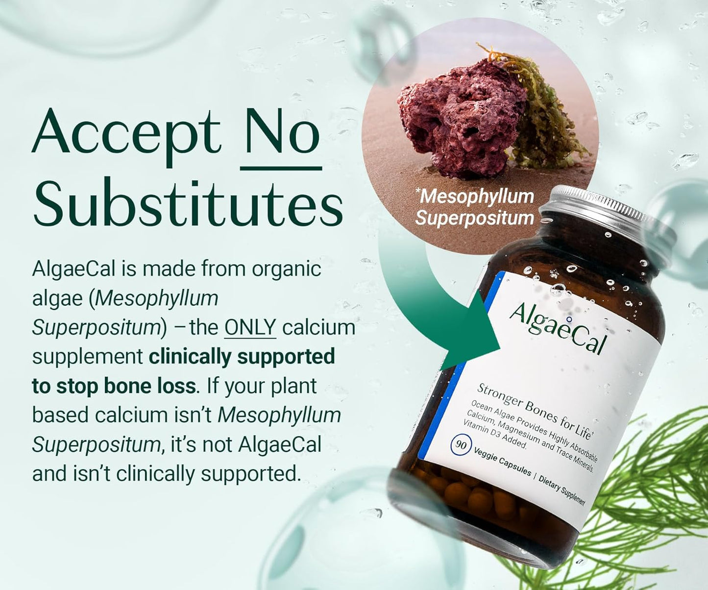 ALGAECAL - Plant Based Calcium Supplement + ALGAECAL Plus