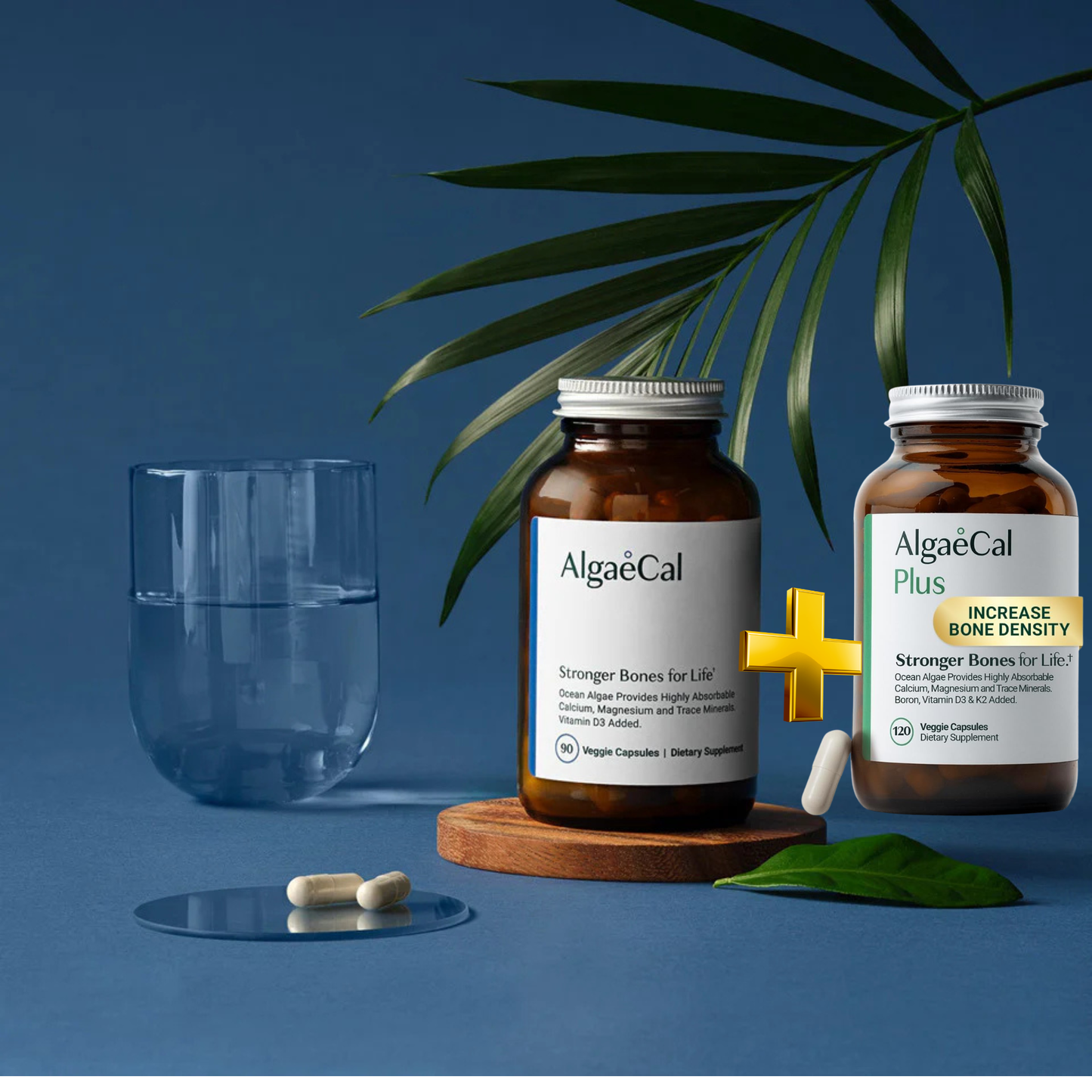 ALGAECAL - Plant Based Calcium Supplement + ALGAECAL Plus